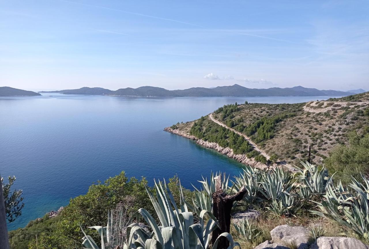 Apartment Lucija With Sea View Dubrovnik Ngoại thất bức ảnh