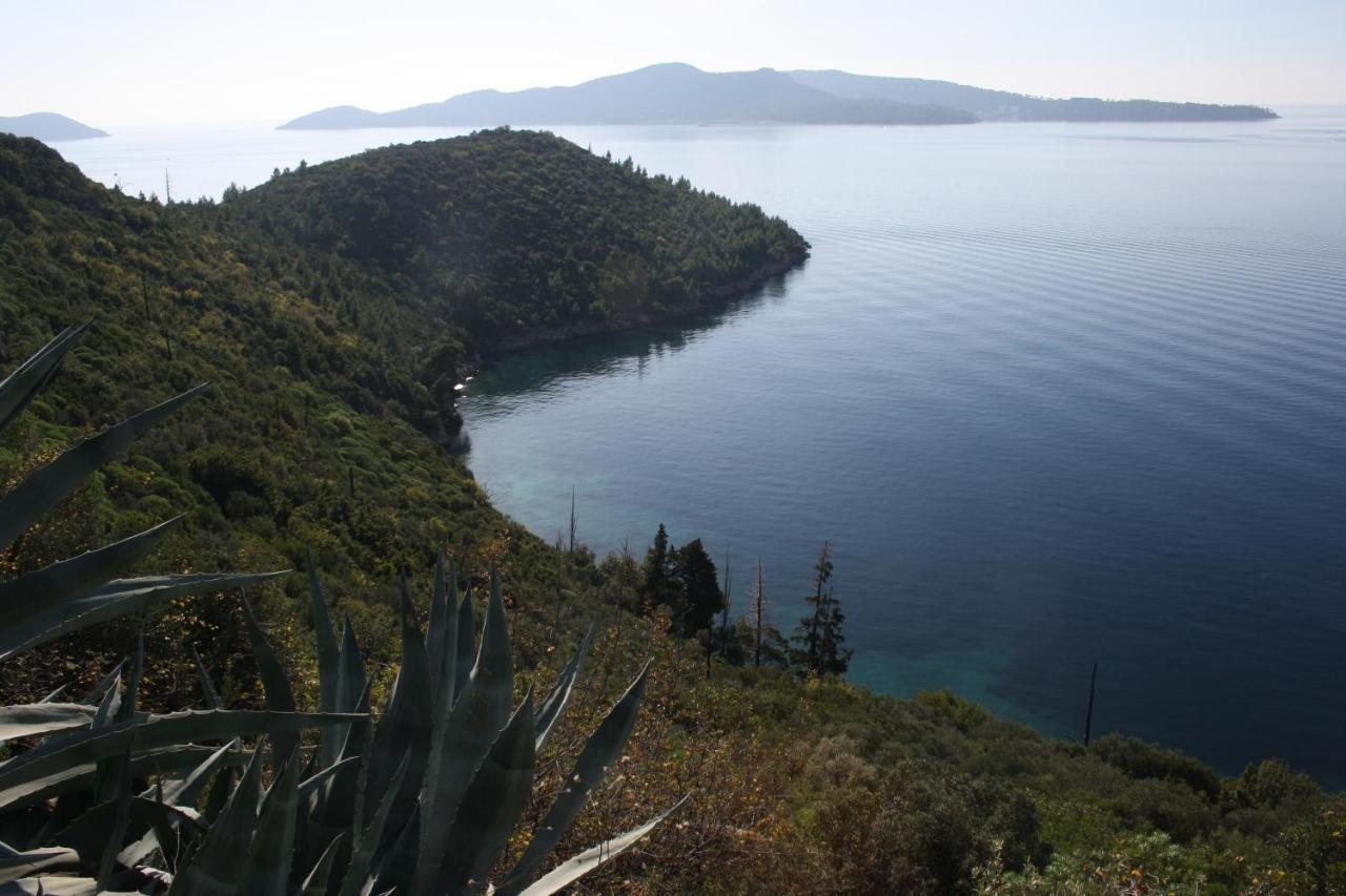 Apartment Lucija With Sea View Dubrovnik Ngoại thất bức ảnh